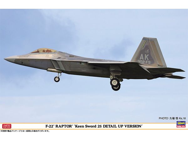 F-22 Raptor Keen Sword 25 Detail Up Version